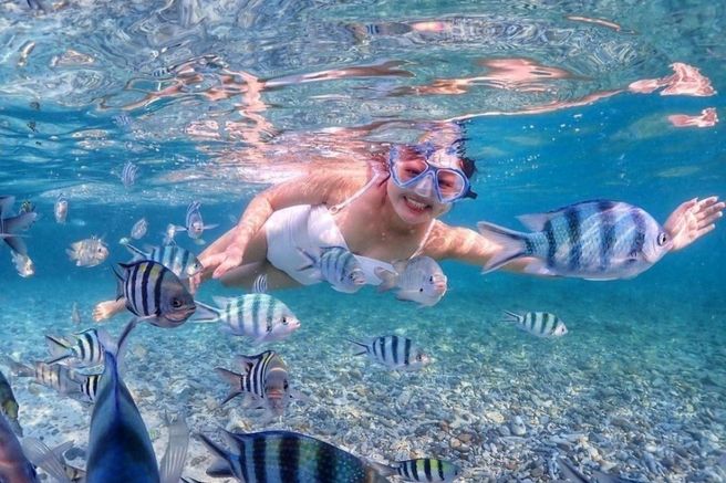 Pattaya Nemo Island Snorkeling Day Tour (Departure from Pattaya)