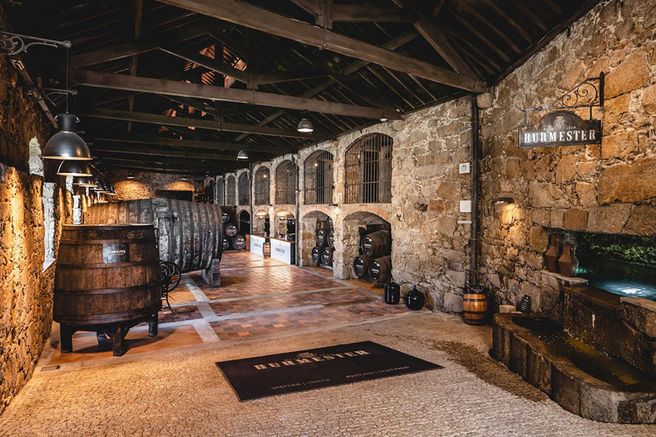 Porto: Burmester Cellar Wine Tasting