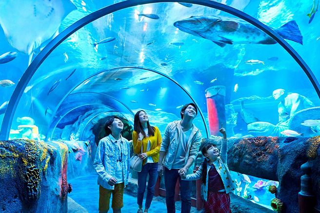 SEA LIFE Porto Aquarium Ticket
