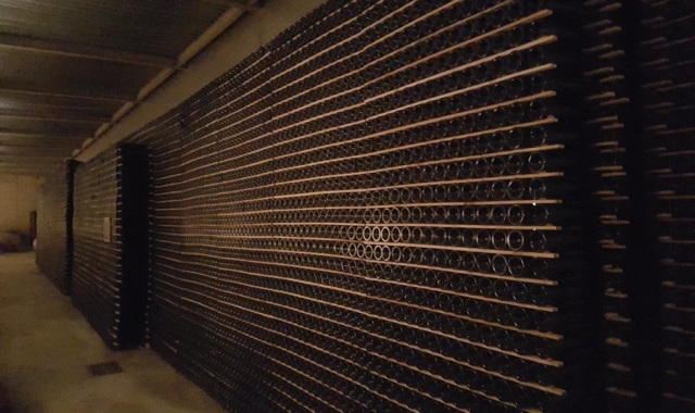 한국인 소믈리에와 함께하는 알레야 와이너리 투어 (바르셀로나 출발)