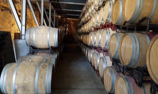 한국인 소믈리에와 함께하는 알레야 와이너리 투어 (바르셀로나 출발)