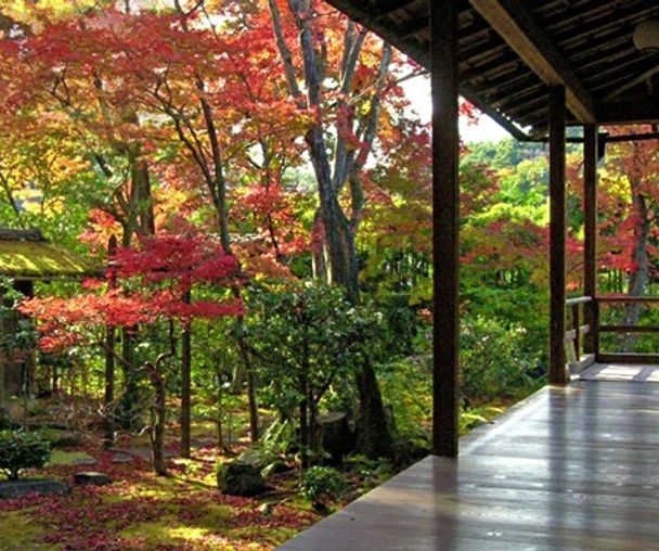 activity_detail_image