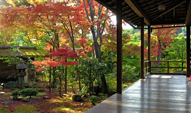 Myoshin-ji Temple Admission Ticket & Hanagokoro Lunch Set in Kyoto