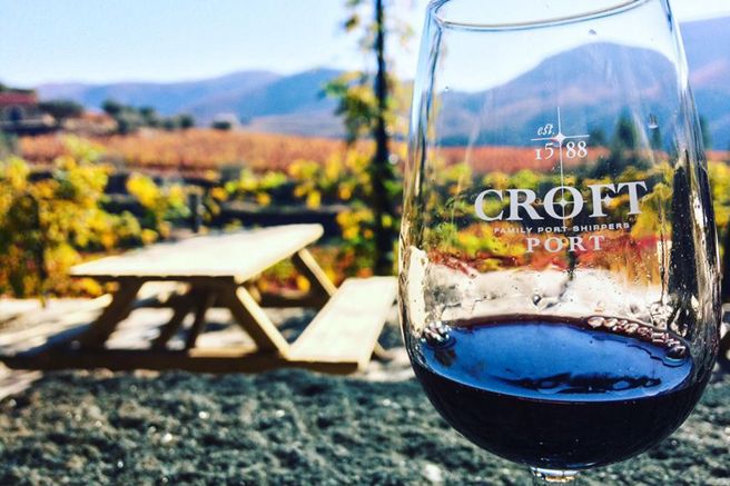 From Porto: Douro Valley Winery & Boat Tour