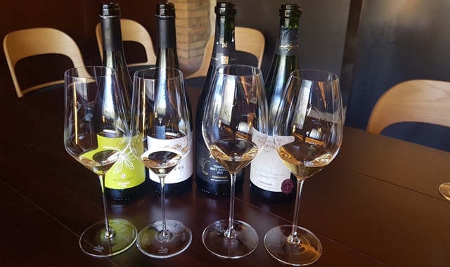 바르셀로나 출발: 한국인 소믈리에와 만나는 까바 와이너리 투어