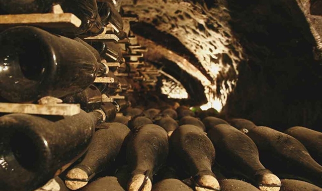 바르셀로나 출발: 한국인 소믈리에와 만나는 까바 와이너리 투어