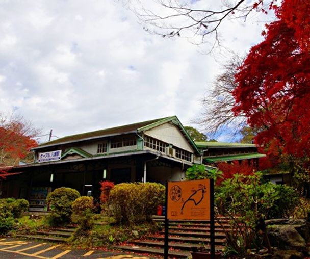 activity_detail_image