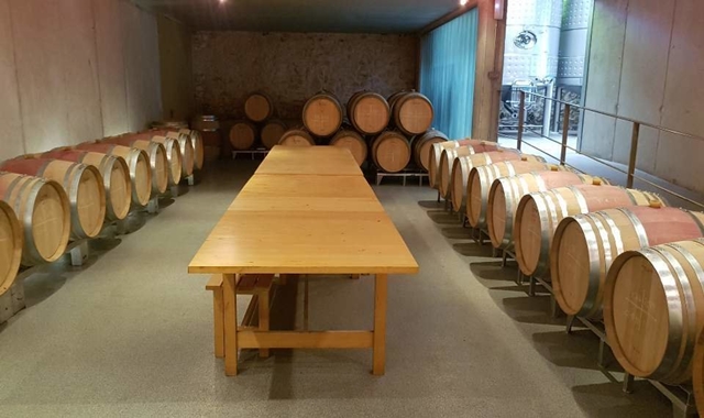 한국인 소믈리에와 함께 하는 페네데스 와이너리 투어