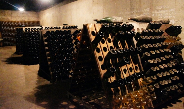 한국인 소믈리에와 함께 하는 페네데스 와이너리 투어