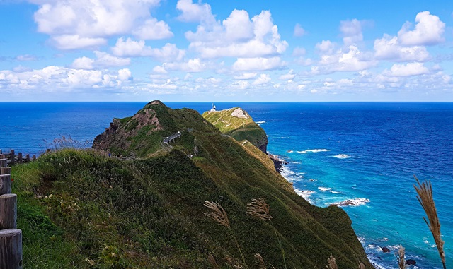 [라쿠투어] 북해도 샤코탄 & 오타루 일일 버스투어 (매일 출발)