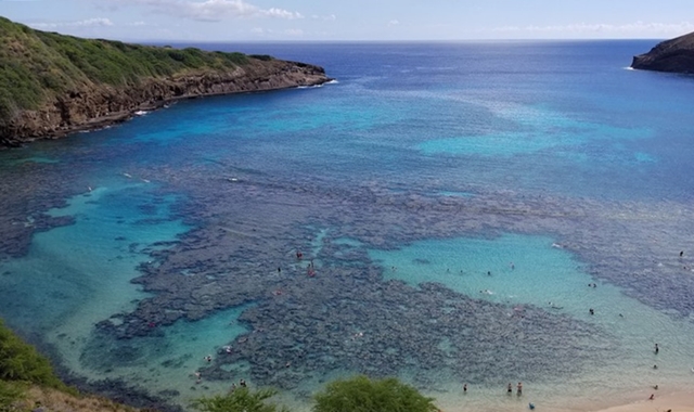하와이 하나우마베이 스노클링 투어 사전 예약 - 하와이 주 정부 인증 업체