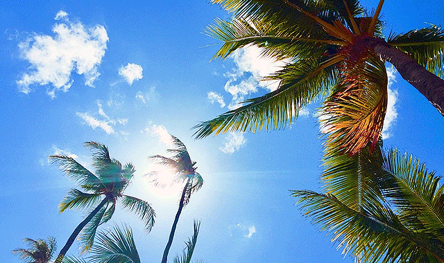 하와이 하나우마베이 스노클링 투어 사전 예약 - 하와이 주 정부 인증 업체