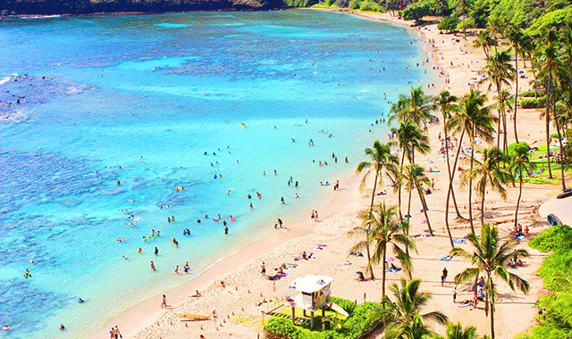 하와이 하나우마베이 스노클링 투어 사전 예약 - 하와이 주 정부 인증 업체