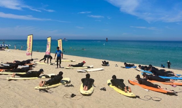 강릉 경포 서프홀릭 서핑 강습 (무제한 자유 서핑 포함)