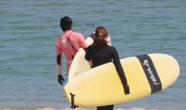 강릉 경포 서프홀릭 서핑 강습 (무제한 자유 서핑 포함)