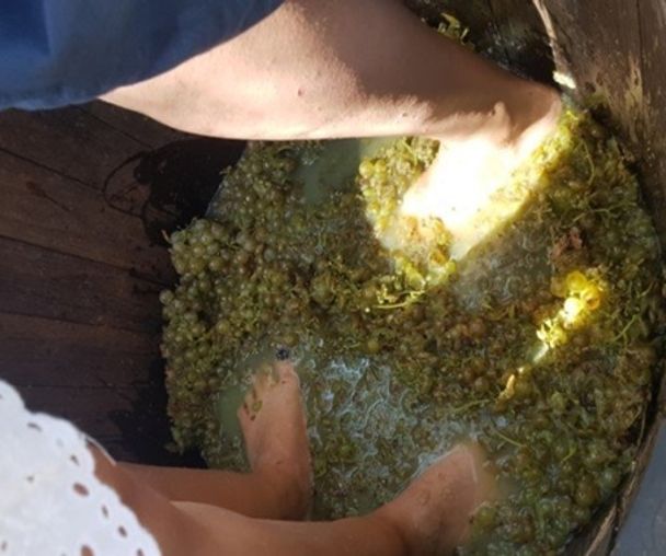 activity_detail_image