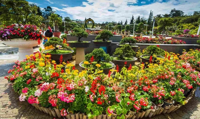 ダラット・シティサイトシーイング・シティツアーバス(24時間)