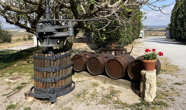 스페인 공인 와인 전문가의 바르셀로나 와이너리 투어