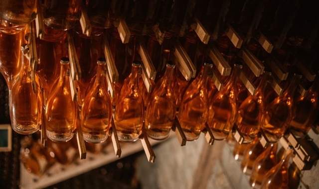 한국인 소믈리에와 함께 하는 바르셀로나 와이너리 투어