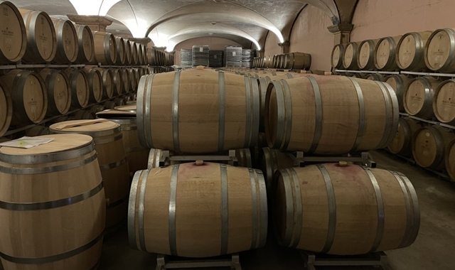 한국인 소믈리에와 함께 하는 바르셀로나 와이너리 투어