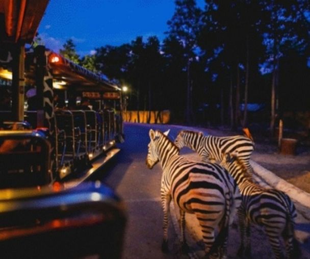 activity_detail_image