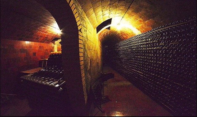 칼솟 구이와 함께! 바르셀로나 근교 와이너리 투어 - 스페인 공인 한국인 소믈리에