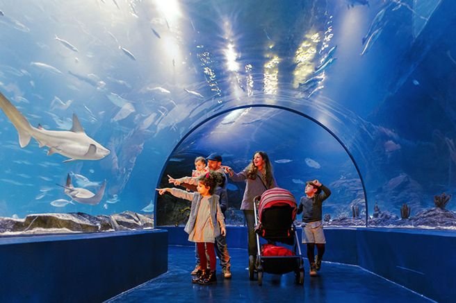 Atlantis Aquarium Madrid Ticket