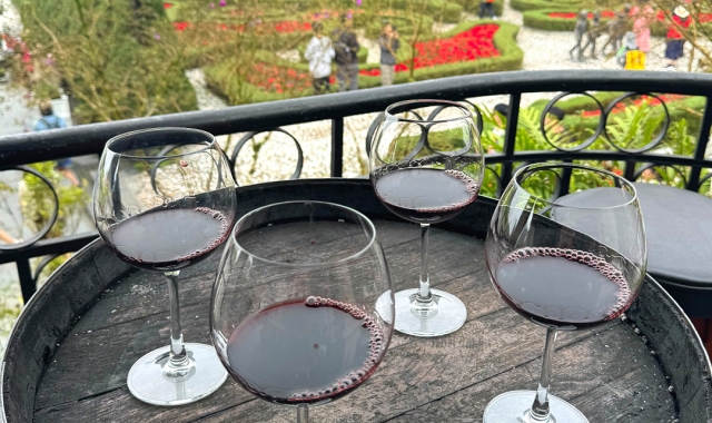 다낭 오늘두 여행 바나힐 테마파크 버스 투어 (한국인 가이드)