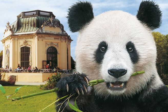 ウィーン シェーンブルン宮殿動物園 入場チケット