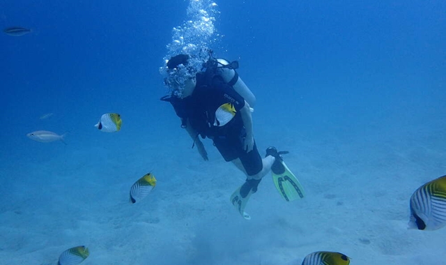 괌 체험 스쿠버 다이빙 투어 by 마린스포츠클럽
