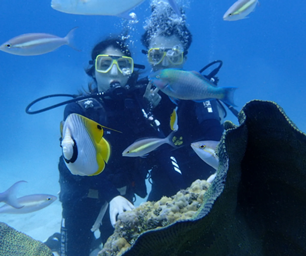 activity_detail_image