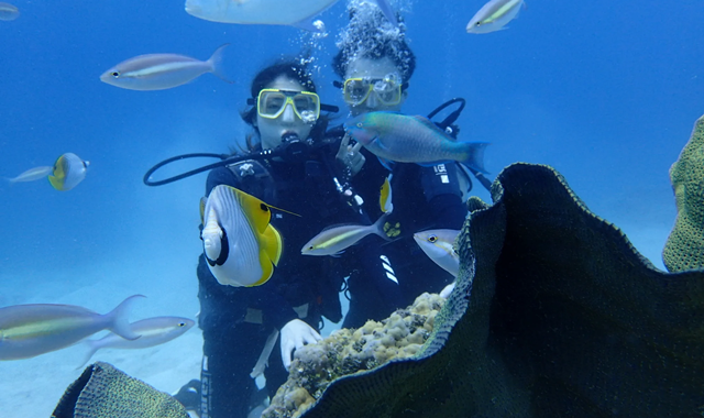 괌 체험 스쿠버 다이빙 투어 by 마린스포츠클럽