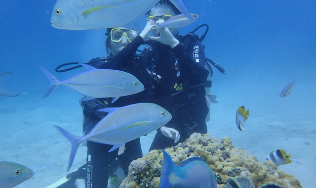 괌 체험 스쿠버 다이빙 투어 by 마린스포츠클럽