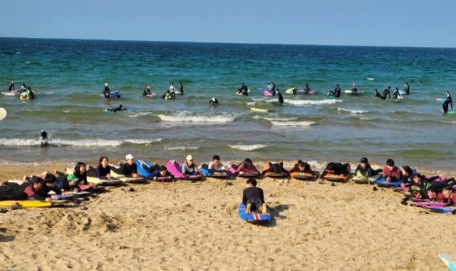 경북 포항 서프홀릭 서핑 강습 (무제한 자유 서핑 포함)