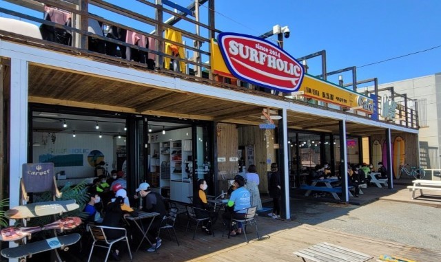 경북 포항 서프홀릭 서핑 강습 (무제한 자유 서핑 포함)