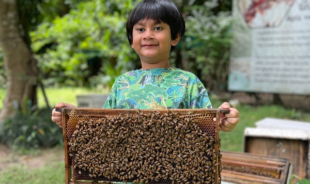 치앙마이 애니멀 키즈 투어 (엘리펀트 푸푸 페이퍼 파크, 꿀벌 정원, 타이거 킹덤)