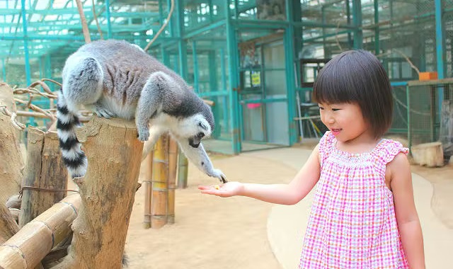 이와테 사파리 파크 동물원 입장권