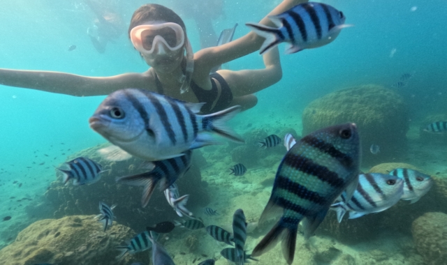 파타야 코사멧 5섬 호핑 전일 투어 (파타야 출발)