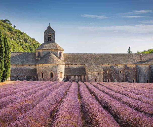 activity_detail_image