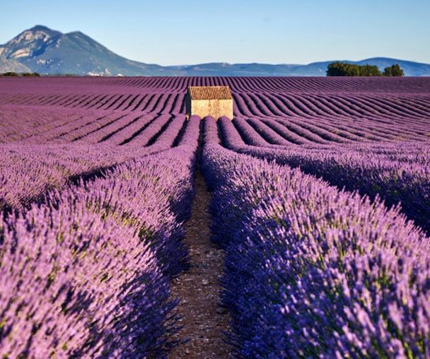 activity_detail_image