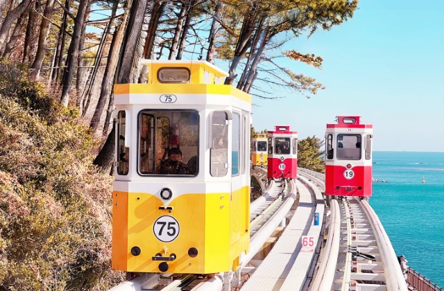 부산 일일 시티투어 (해동용궁사, 블루라인파크, 송정, 감천문화마을)