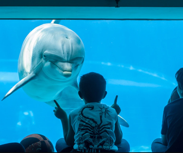 activity_detail_image