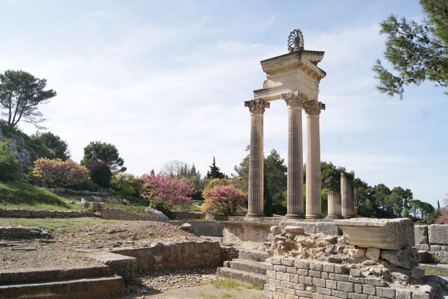 detail_image