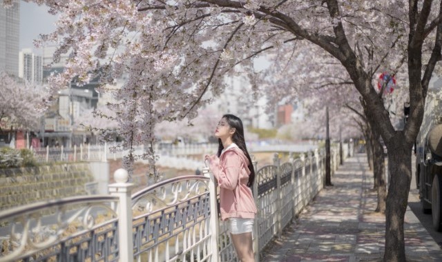 서울 달리포토 여행의 추억을 남기는 전문 사진 촬영