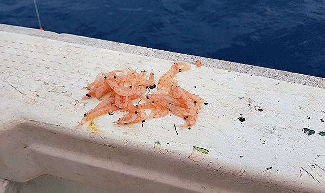 activity_detail_image