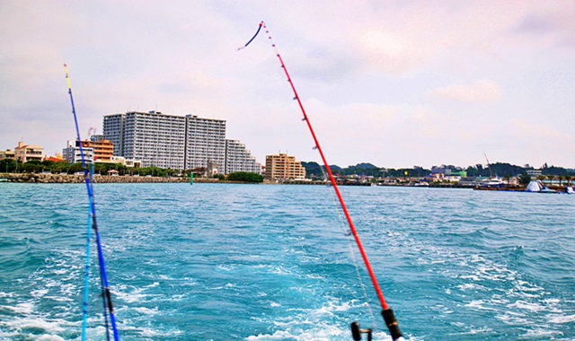 오키나와 아메리칸 빌리지 낚시 체험 투어
