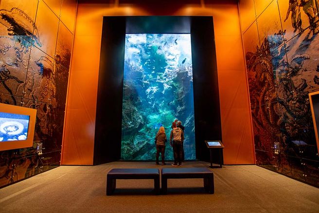 La Cité de la Mer Maritime Museum Admission Ticket