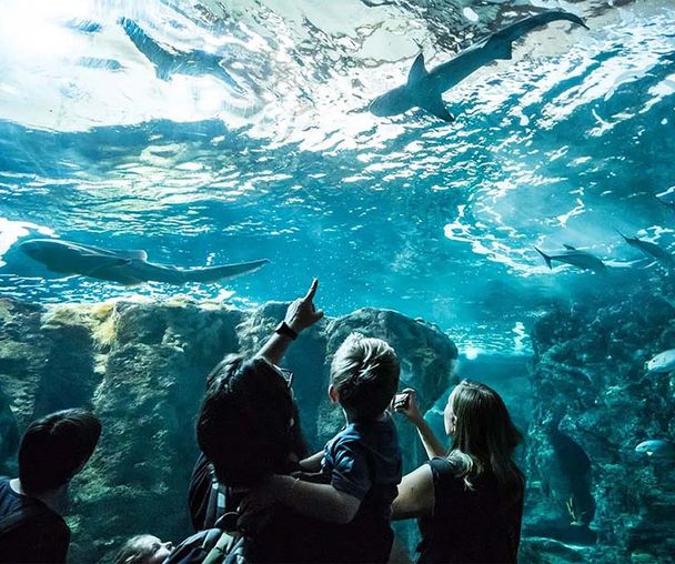 activity_detail_image