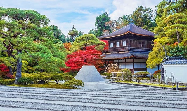 [여행한그릇] 오사카 출발: 나라, 우지 녹차 마을, 교토 기온거리 버스 투어, 그리고 무료 사진 촬영
