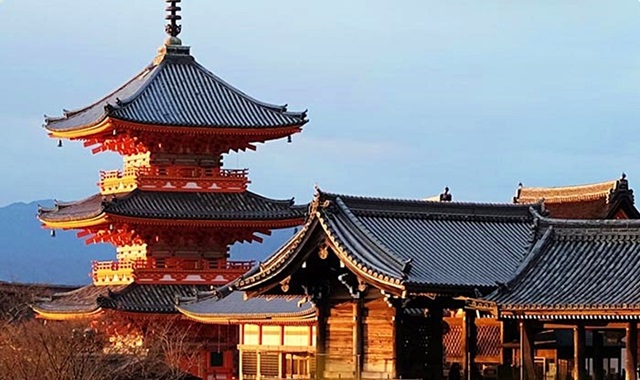 [여행한그릇] 오사카 출발: 나라, 우지 녹차 마을, 교토 기온거리 버스 투어, 그리고 무료 사진 촬영